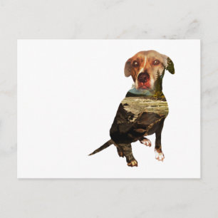 Carte Postale chien à double exposition