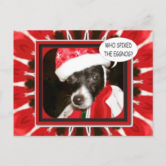 Carte Postale Chien à épingle (Devant)