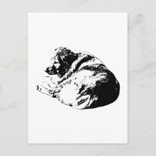 Carte Postale Chien à l'encre noire enroulé envoie une note repo