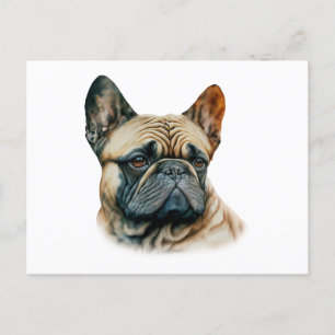 Carte Postale Chien à tête blanche