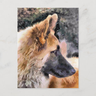 CARTE POSTALE CHIEN ALLEMAND SHEPHERD