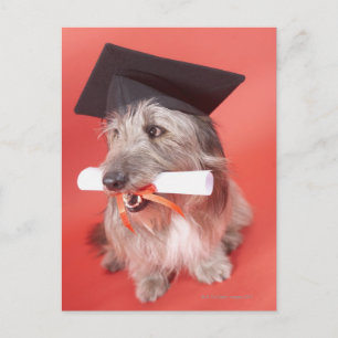 Carte Postale Chien avec mortier et diplôme