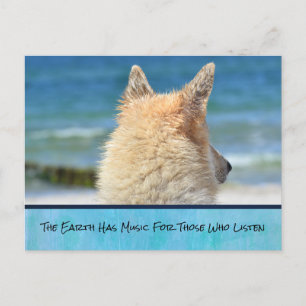 Carte Postale Chien Avec Un Message Inspirant