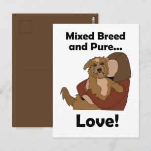 Carte Postale Chien bâtard Race mixte Amour pur Fête d'anniversa