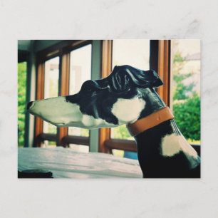 Carte Postale Chien carrousel