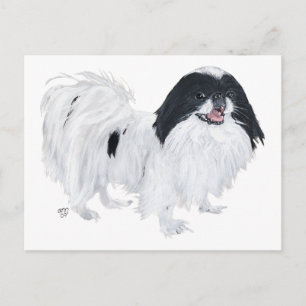 Carte Postale Chien Chin Japonais
