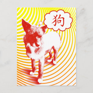 Carte Postale Chien chinois caractère CrazyPups