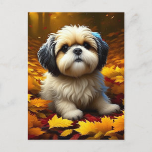 Carte Postale Chien Chiot Chien Chien Chien Chien Jouant dans Fe