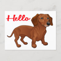Chien chiot de Dachshund - Red Hello, Penser à vou