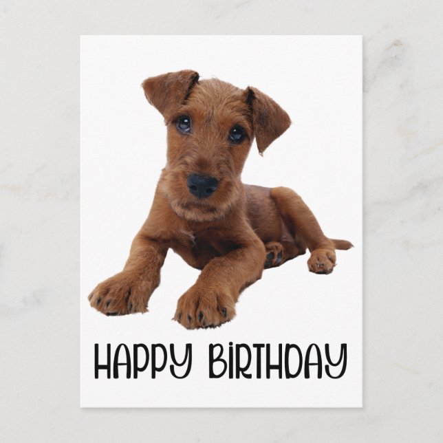 Carte Postale Chien chiot mignon Airedale Terrier Anniversaire (Devant)