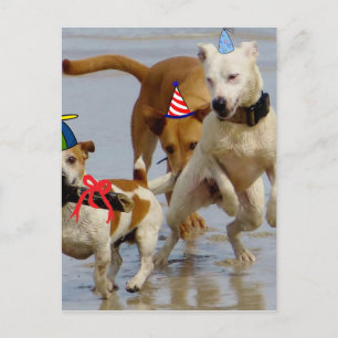 Carte Postale chien d'anniversaire heureux