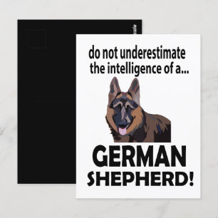 Carte Postale Chien de berger allemand Animal de compagnie Berge