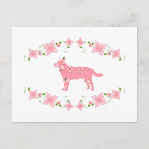 Carte Postale Chien de bétail australien