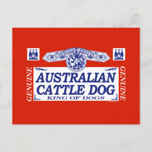 Carte Postale Chien de bétail australien