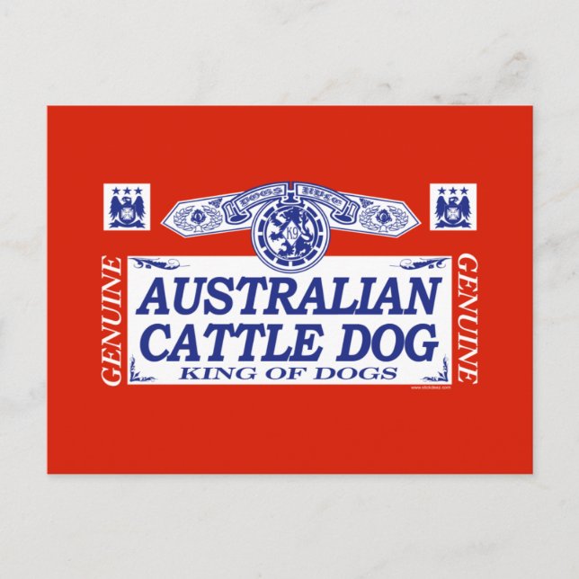 Carte Postale Chien de bétail australien (Devant)