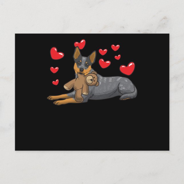 Carte Postale Chien De Bétail Australien Avec Animal Stuffé Et (Devant)