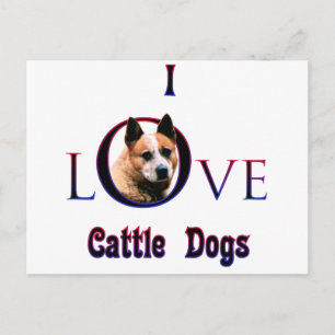 Carte Postale Chien de bétail australien que j'aime