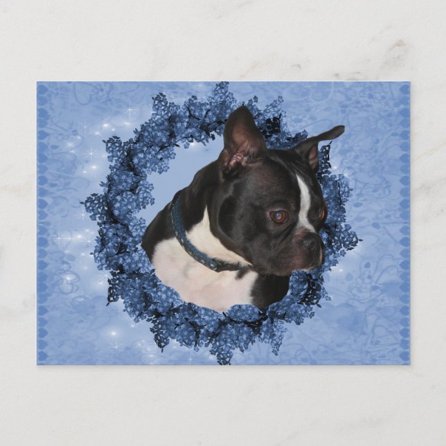 Carte Postale Chien de Boston Terrier (Devant)