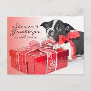 Carte Postale Chien de Boston Terrier