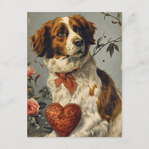 Carte Postale Chien de Bretagne Vintage Saint Valentin