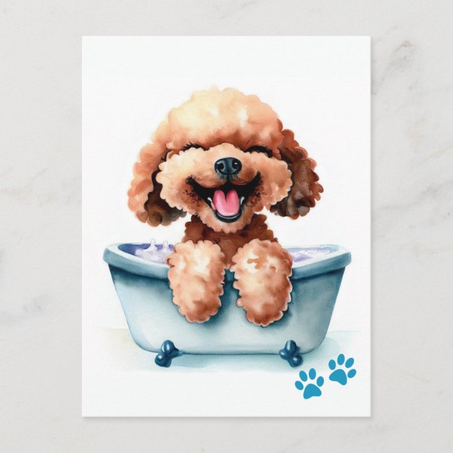 Carte Postale Chien de caniche (Devant)