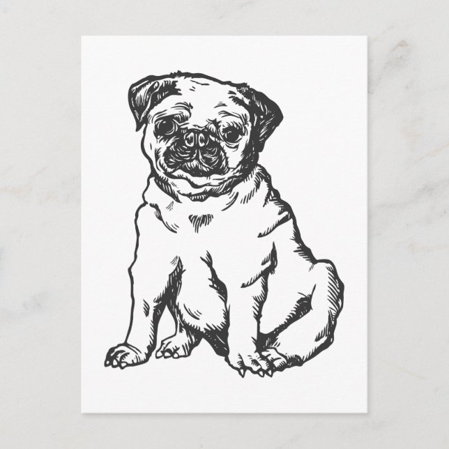 Carte Postale Chien de carlin, illustration en noir et blanc (Devant)