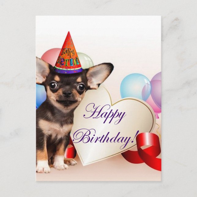 Carte Postale Chien de chiwawa d'anniversaire (Devant)