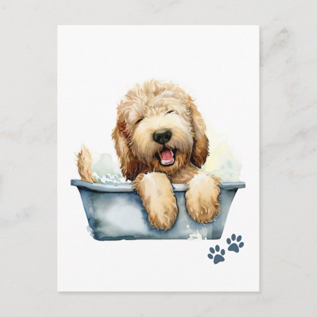 Carte Postale Chien de Labradoodle (Devant)
