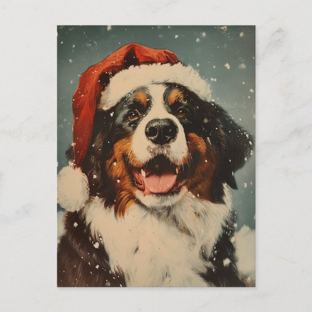 Carte Postale Chien de montagne bernois (Devant)