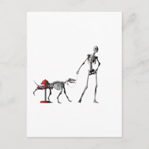 Carte Postale chien de promenade