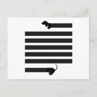 chien de saucisse de dachshund