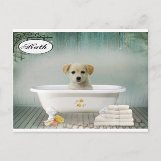 Carte Postale Chien de temps de bain