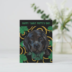 Carte Postale Chien de Terre-Neuve