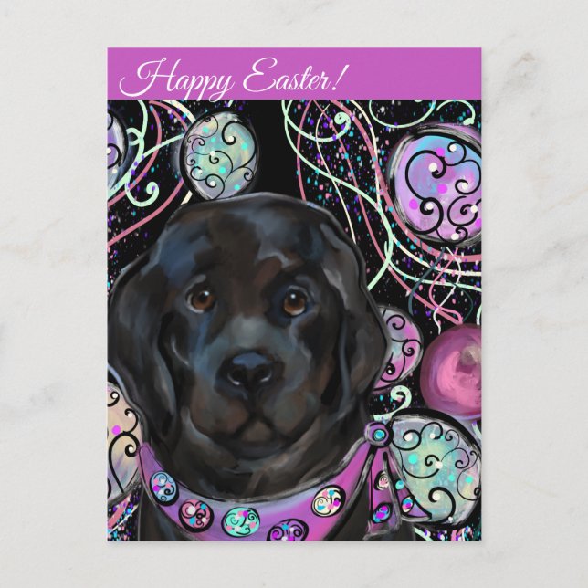 Carte Postale Chien de Terre-Neuve (Devant)