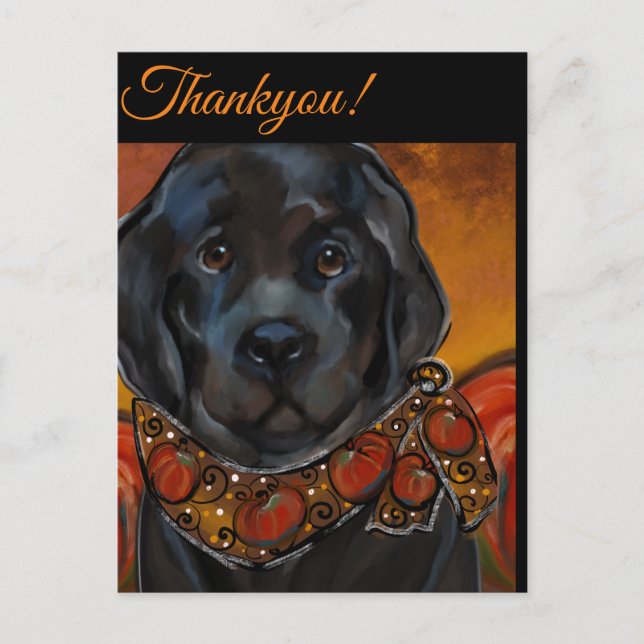 Carte Postale Chien de Terre-Neuve (Devant)