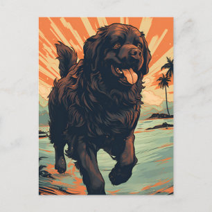 Carte Postale Chien de Terre-Neuve à la plage