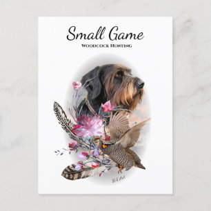 Carte Postale Chien d'oiseaux, chasse à la bécasse