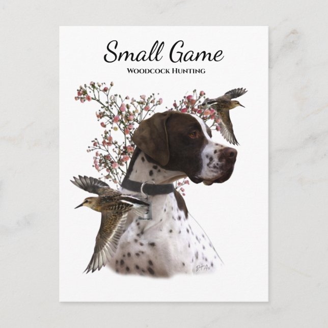 Carte Postale Chien d'oiseaux, chasse à la bécasse (Devant)