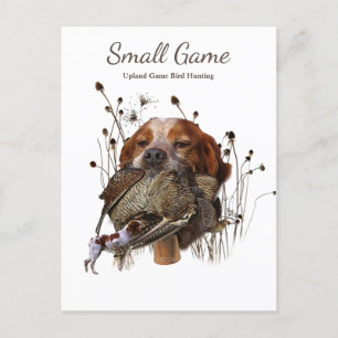 Carte Postale Chien d'oiseaux, Jeu de l'Upland Chasse aux oiseau