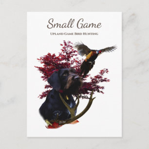 Carte Postale Chien d'oiseaux, Jeu de l'Upland Chasse aux oiseau