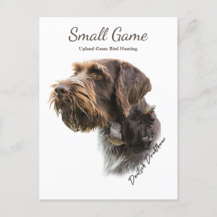 Carte Postale Chien d'oiseaux, Jeu de l'Upland Chasse aux oiseau