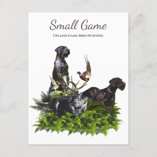 Carte Postale Chien d'oiseaux, Jeu de l'Upland Chasse aux oiseau