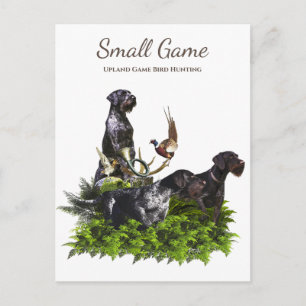 Carte Postale Chien d'oiseaux, Jeu de l'Upland Chasse aux oiseau