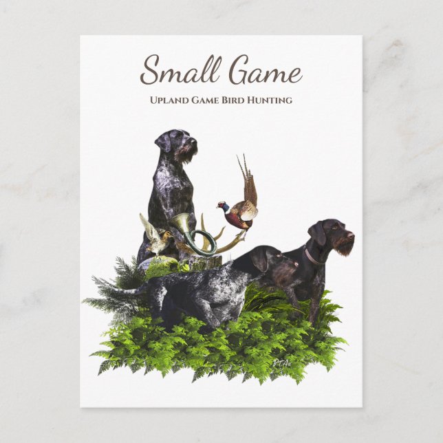 Carte Postale Chien d'oiseaux, Jeu de l'Upland Chasse aux oiseau (Devant)