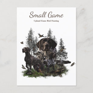Carte Postale Chien d'oiseaux, Jeu de l'Upland Chasse aux oiseau