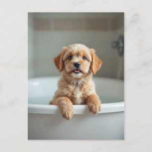 Carte Postale Chien drôle dans la salle de bain