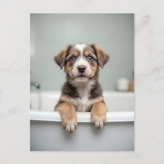 Carte Postale Chien drôle dans la salle de bain (Devant)