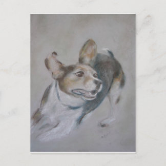 Carte Postale Chien écarlate :  Exécution