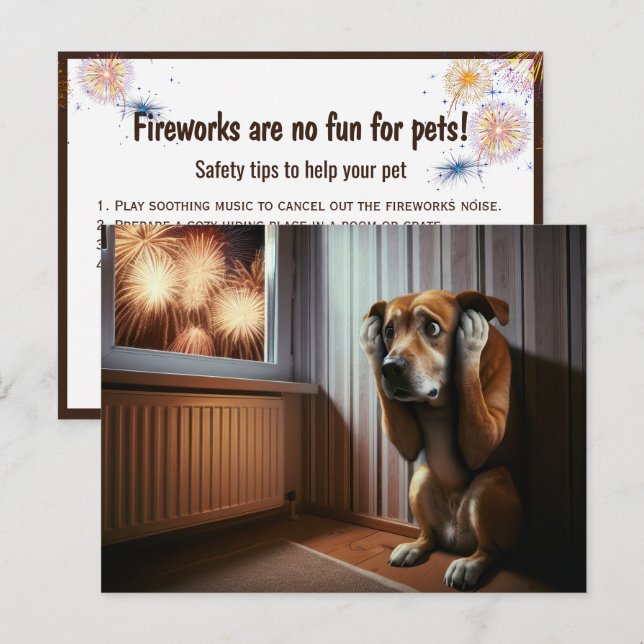Carte Postale Chien effrayé regardant les feux d'artifice (Devant / Derrière)