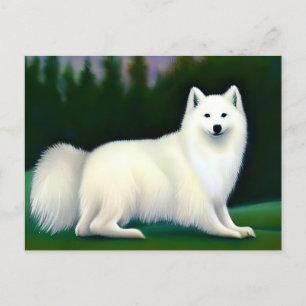 Carte Postale Chien Esquimau Américain